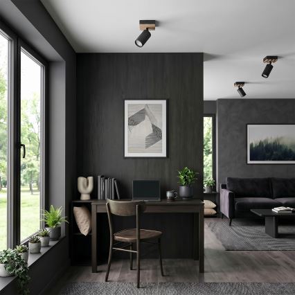 Brilagi - Spot d'éclairage SELE WOOD ACOUSTIC 1xGU10/30W/230V noir/bois