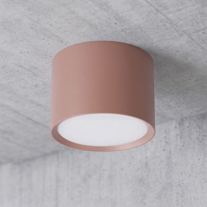 BRILAGI - Spot d'éclairage SMOOTH 1xGX53/15W/230V 60x82 mm marron