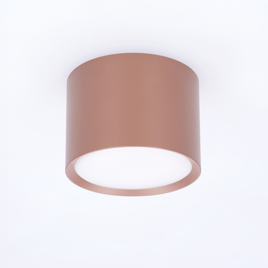 BRILAGI - Spot d'éclairage SMOOTH 1xGX53/15W/230V 60x82 mm marron