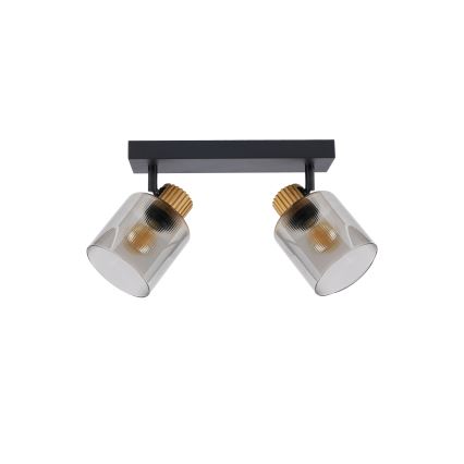 Brilagi - Spot HYGGE 2xE14/15W/230V noir/verre fumé