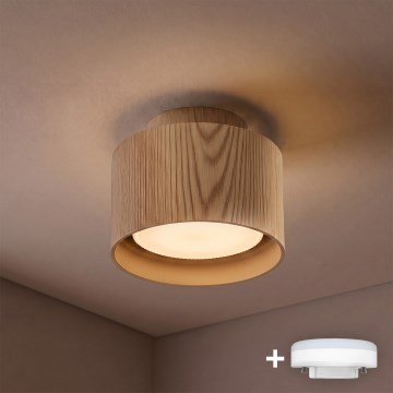 BRILAGI - Spot LED BACKLIT 1xGX53/15W/230V + LED/3W Ø 10 cm décor chêne