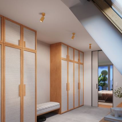 Brilagi - Spot LED CRESTO 1xGU10/10W/230V doré