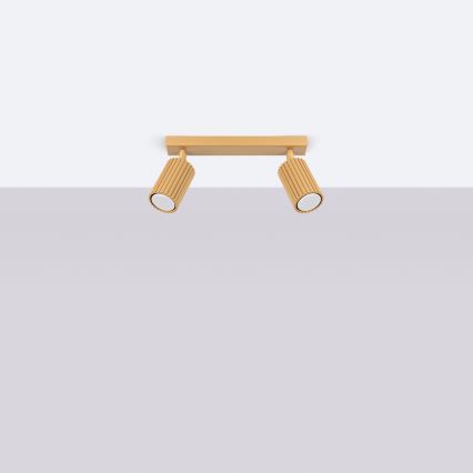 Brilagi - Spot LED CRESTO 2xGU10/10W/230V doré