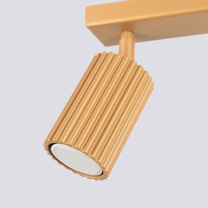 Brilagi - Spot LED CRESTO 2xGU10/10W/230V doré