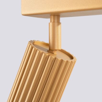 Brilagi - Spot LED CRESTO 4xGU10/10W/230V doré