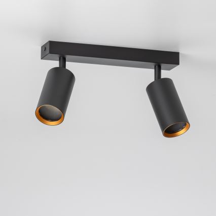 Brilagi - Spot LED dimmable SELE 2xGU10/6,5W/230V 2700-6500K noir/doré