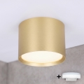 BRILAGI - Spot LED pour salle de bains SMOOTH 1xGX53/15W/230V 60x82 mm doré IP54