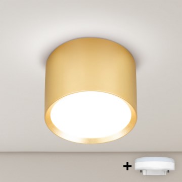 Brilagi - Spot LED RGB+CCT dimmable SMOOTH 1xGX53/14W/230V 2700-6500K Wi-Fi Tuya doré