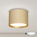 Brilagi - Spot LED RGB+CCT dimmable STRIPY 1xGX53/14W/230V 2700-6500K Wi-Fi Tuya doré