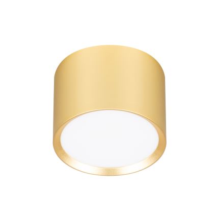 Brilagi - Spot LED RGB+CCT dimmable SMOOTH 1xGX53/14W/230V 2700-6500K Wi-Fi Tuya doré