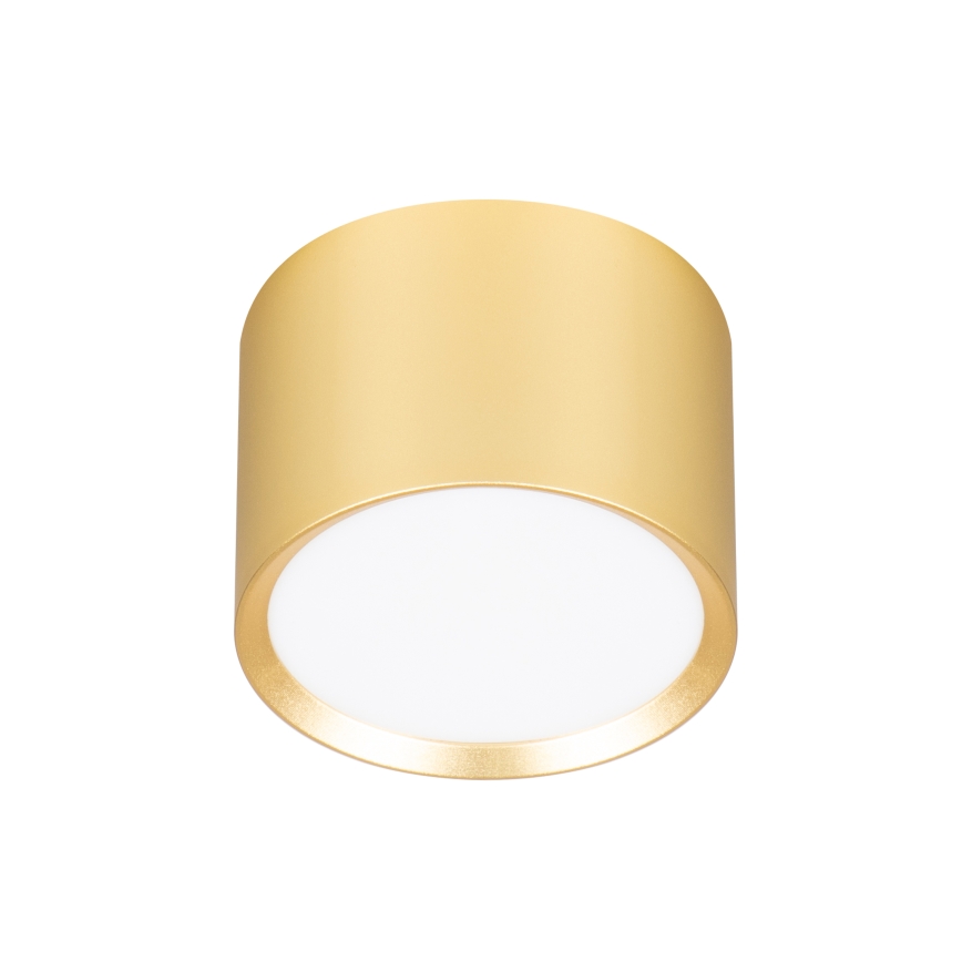 Brilagi - Spot LED RGB+CCT dimmable SMOOTH 1xGX53/14W/230V 2700-6500K Wi-Fi Tuya doré