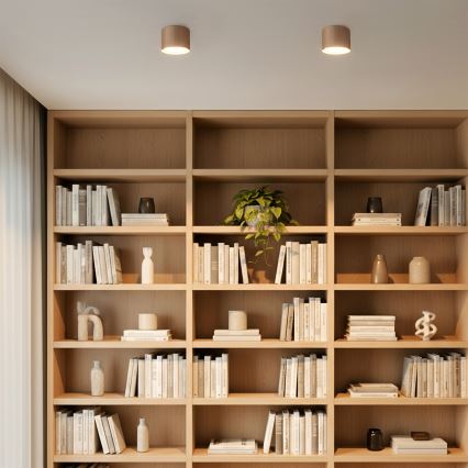 BRILAGI - Spot LED RGB+CCT dimmable STRIPY 1xGX53/14W/230V 60x82 mm 2700-6500K Wi-Fi Tuya beige