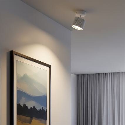 Brilagi - Spot LED RGB+CCT dimmable STRIPY 1xGX53/14W/230V 2700–6500K Wi-Fi Tuya blanc