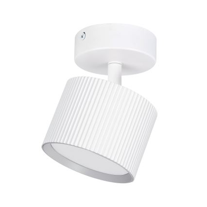 Brilagi - Spot LED RGB+CCT dimmable STRIPY 1xGX53/14W/230V 2700–6500K Wi-Fi Tuya blanc