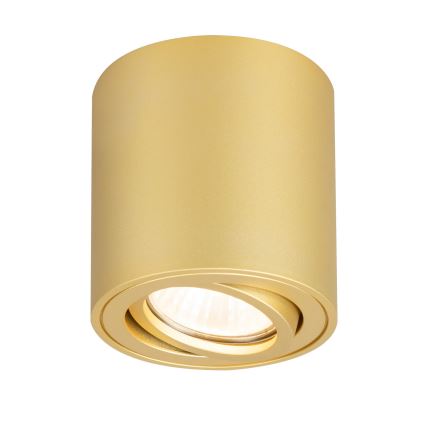 Brilagi - Spot LED RGBW à intensité variable MIA 1xGU10/4,8W/230V 3000K 84x80 mm doré + télécommande