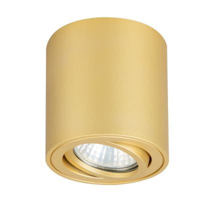 Brilagi - Spot LED RGBW à intensité variable MIA 1xGU10/6W/230V 3000K 84x80 mm doré + télécommande