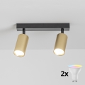 BRILAGI - Spot LED RGBW dimmable SELE GOLDEN 2xGU10/4,8W/230V 3000K noir/doré + télécommande