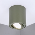 BRILAGI - Spot MIA 1xGU10/30W/230V 84x80 mm vert foncé