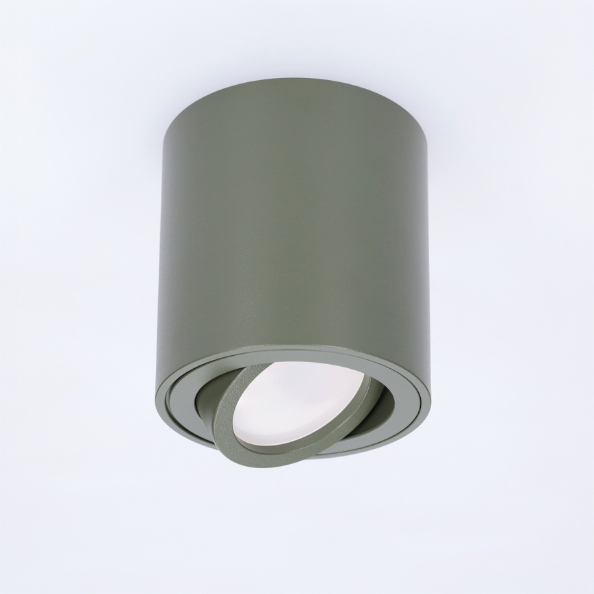 BRILAGI - Spot MIA 1xGU10/30W/230V 84x80 mm vert foncé