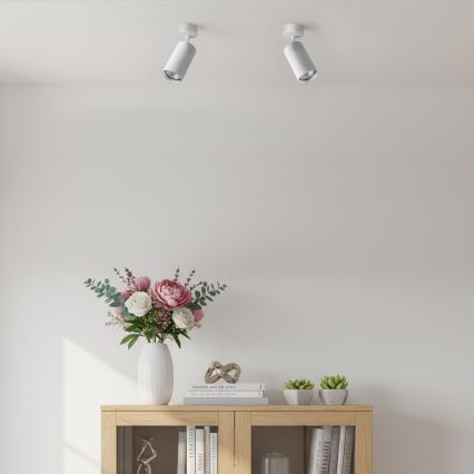 Brilagi - Spot orientable SELE MODERN 1xGU10/30W/230V blanc