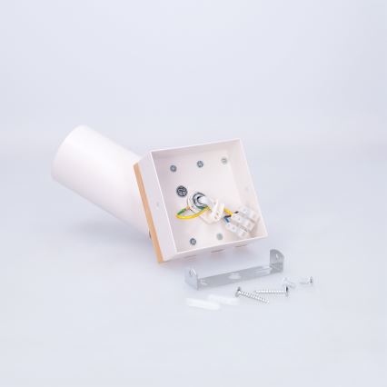 Brilagi - Spot orientable SELE WOOD ACOUSTIC 1xGU10/30W/230V blanc/bois