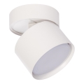 Brilagi - Spot orientable SMOOTH TILTY 1xGX53/15W/230V blanc
