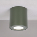 BRILAGI - Spot pour salle de bains MIA 1xGU10/30W/230V 60x82 mm 84x80 mm vert foncé IP54