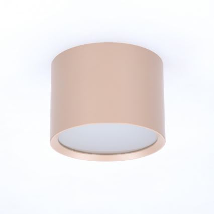 BRILAGI - Spot pour salle de bains SMOOTH 1xGX53/15W/230V 60x82 mm beige IP54