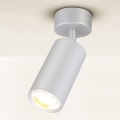 Brilagi - Spot salle de bain SELE 1xGU10/30W/230V IP44 argent