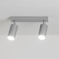 Brilagi - Spot salle de bain SELE 2xGU10/30W/230V IP44 argent