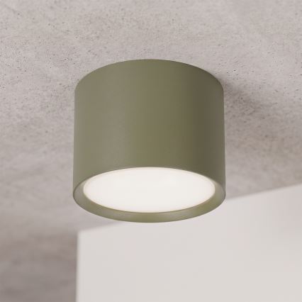 BRILAGI - Spot SMOOTH 1xGX53/15W/230V 60x82 mm vert foncé