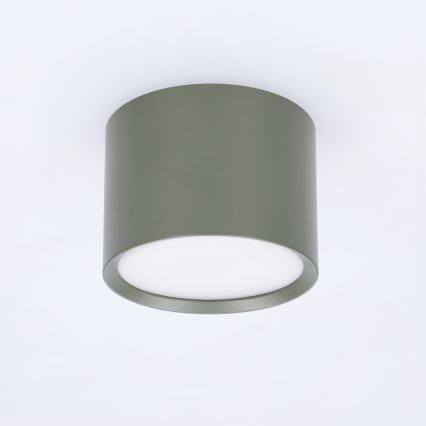 BRILAGI - Spot SMOOTH 1xGX53/15W/230V 60x82 mm vert foncé