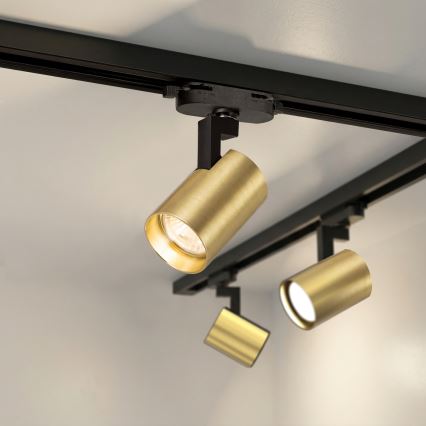 Brilagi - Spot sur rail HUSKY 4x GU10/10W/230V noir/doré