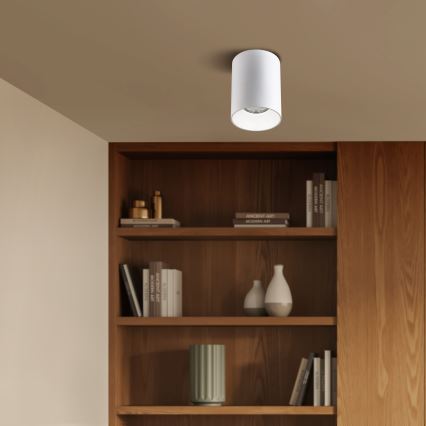 Brilagi - Spot TRINE 1xGU10/30W/230V blanc