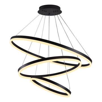 Brilagi - Suspension filaire à intensité variable CIRCLE LED/125W/230V 3000-6500K noir + télécommande