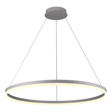 Brilagi - Suspension filaire à intensité variable CIRCLE LED/55W/230V 3000-6500K argent + télécommande