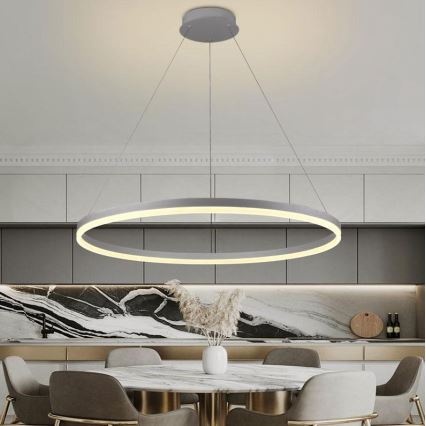 Brilagi - Suspension filaire à intensité variable CIRCLE LED/55W/230V 3000-6500K argent + télécommande