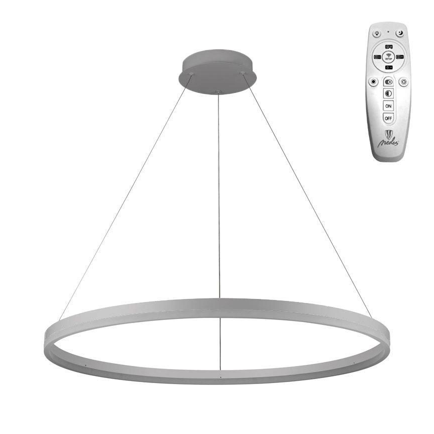 Brilagi - Suspension filaire à intensité variable CIRCLE LED/55W/230V 3000-6500K argent + télécommande