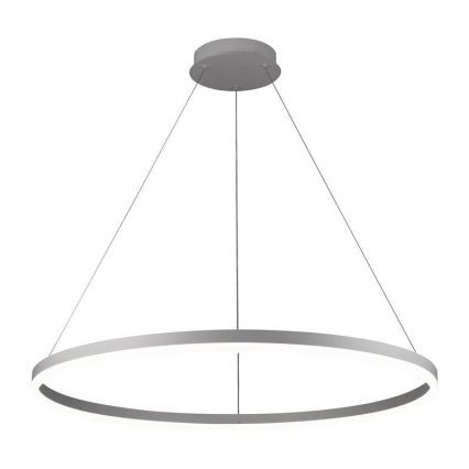 Brilagi - Suspension filaire à intensité variable CIRCLE LED/55W/230V 3000-6500K argent + télécommande