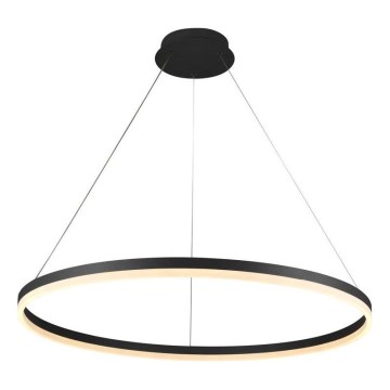 Brilagi - Suspension filaire à intensité variable CIRCLE LED/55W/230V 3000-6500K noir + télécommande