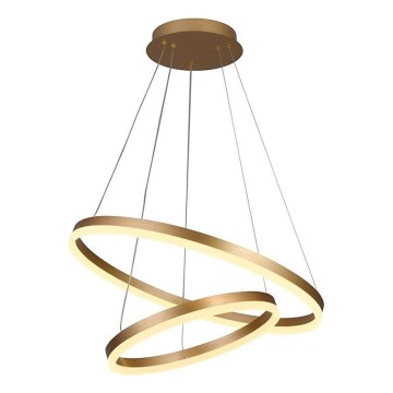 Brilagi - Suspension filaire à intensité variable CIRCLE LED/70W/230V 3000-6500K doré + télécommande