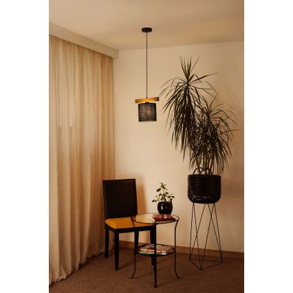 Brilagi - Suspension filaire FOREST 1xE27/15W/230V pin/noir