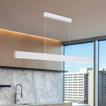 Brilagi - Suspension filaire SLEEKLINE LED/40W/230V 3000/4500/6000K blanc