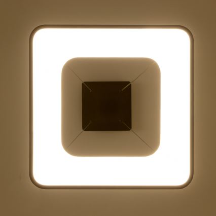 Brilagi - Suspension LED dimmable sur câble FALCON II LED/80W/230V 3000-6500K 40x40 cm noir avec télécommande