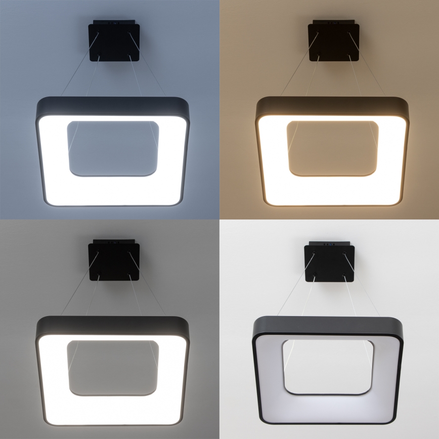 Brilagi - Suspension LED dimmable sur câble FALCON II LED/80W/230V 3000-6500K 40x40 cm noir avec télécommande