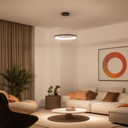 Brilagi - Suspension LED dimmable sur câble FALCON SLIM LED/42W/230V 3000-6500K Ø 50 cm noir + télécommande