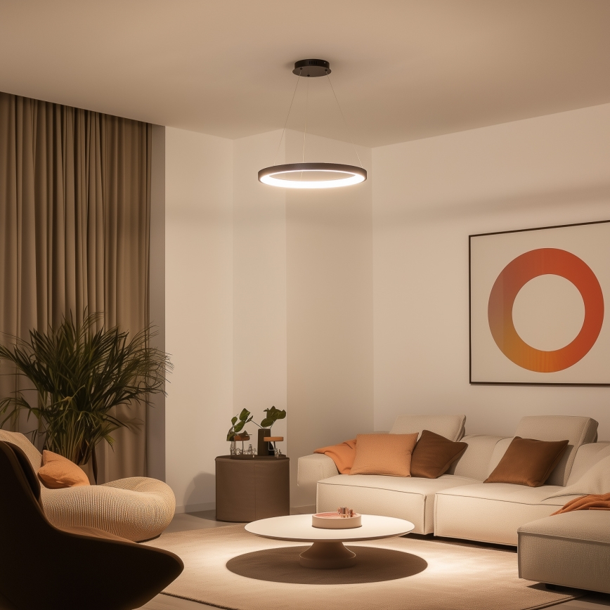 Brilagi - Suspension LED dimmable sur câble FALCON SLIM LED/42W/230V 3000-6500K Ø 50 cm noir + télécommande