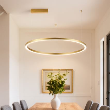 Brilagi - Lustre LED à intensité variable sur câble PORTOFINO LED/60W/230V 3000-6000K Ø 80 cm doré + télécommande