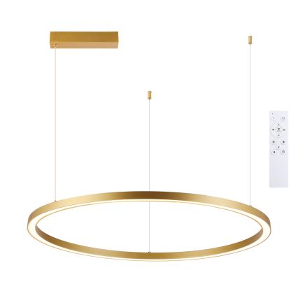 Brilagi - Lustre LED à intensité variable sur câble PORTOFINO LED/60W/230V 3000-6000K Ø 80 cm doré + télécommande