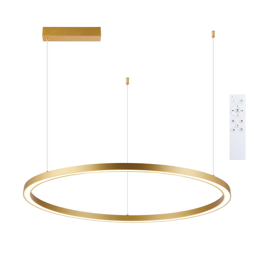 Brilagi - Lustre LED à intensité variable sur câble PORTOFINO LED/60W/230V 3000-6000K Ø 80 cm doré + télécommande
